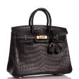 Hermes Birkin 25 Black Matte Niloticus Crocodile Gold Hardware Fashion