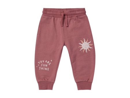 Jogger Pant Sun Hot on Sale