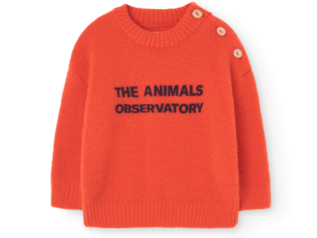 Bobcat Baby Sweater Orange For Discount