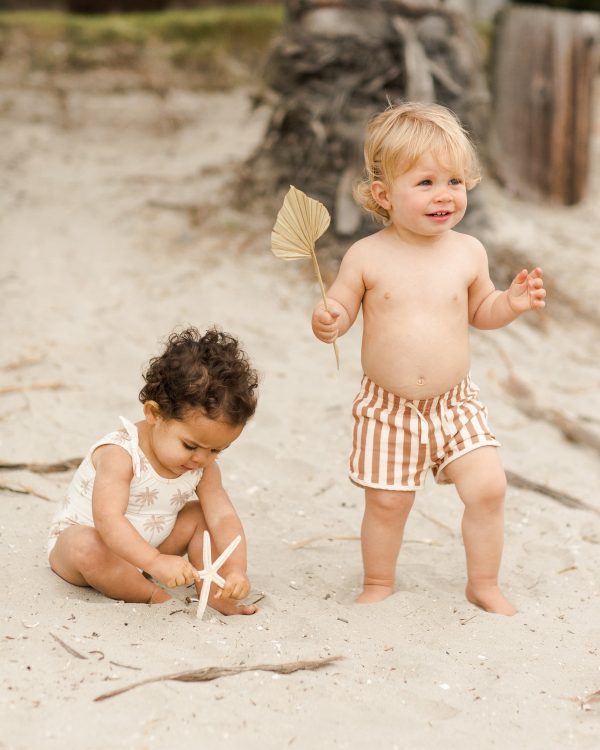 Swim Trunk Clay Stripe For Sale