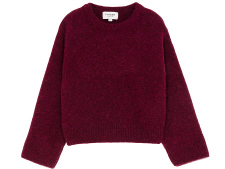 LILY Cranberry - Crew Neck sweater Online now