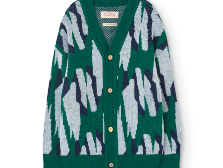 Arty Racoon Kids Cardigan Green Fashion