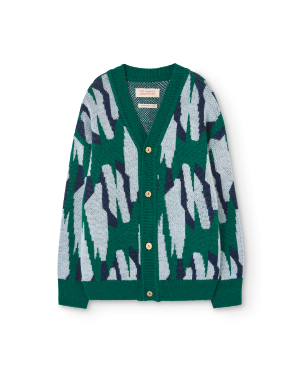 Arty Racoon Kids Cardigan Green Fashion