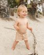 Swim Trunk Clay Stripe For Sale