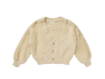 Boxy Crop Cardigan Champagne on Sale