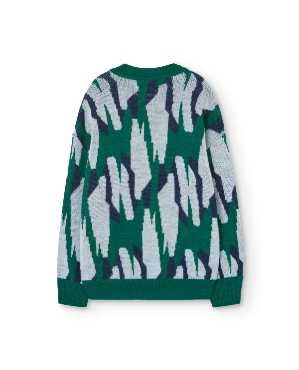 Arty Racoon Kids Cardigan Green Fashion