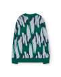 Arty Racoon Kids Cardigan Green Fashion