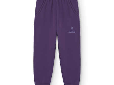 Draco Kids Pants Violet on Sale