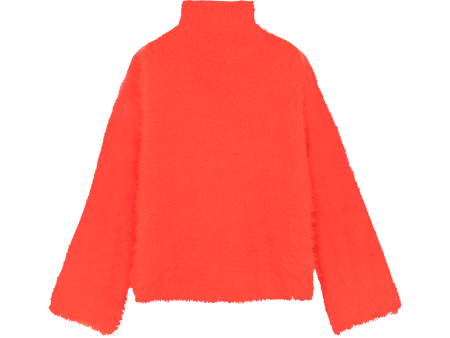 TANJA Red - Turtle Neck Sweater Online Sale