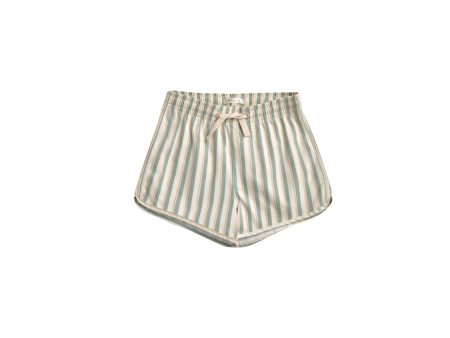 Swim Trunk Aqua Stripe Online now